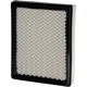 Purchase Top-Quality PREMIUM GUARD - PA5396 - Air Filter pa2
