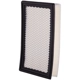 Purchase Top-Quality Air Filter by PREMIUM GUARD - PA5418 pa3