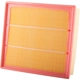 Purchase Top-Quality Air Filter by PREMIUM GUARD - PA5453 pa5