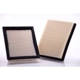 Purchase Top-Quality Air Filter by PREMIUM GUARD - PA5461 pa4