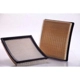 Purchase Top-Quality Air Filter by PREMIUM GUARD - PA5488 pa8
