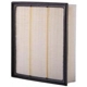 Purchase Top-Quality Air Filter by PREMIUM GUARD - PA5539 pa11