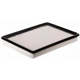 Purchase Top-Quality Air Filter by PREMIUM GUARD - PA5560 pa9