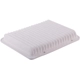 Purchase Top-Quality PREMIUM GUARD - PA5625 - Air Filter pa1