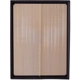 Purchase Top-Quality Air Filter by PREMIUM GUARD - PA5823 pa6
