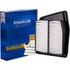 Purchase Top-Quality Air Filter by PREMIUM GUARD - PA6061 pa13