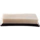 Purchase Top-Quality PREMIUM GUARD - PA6121 - Air Filter pa8