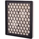 Purchase Top-Quality PREMIUM GUARD - PA6130 - Air Filter pa2