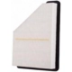 Purchase Top-Quality PREMIUM GUARD - PA6131 - Air Filter pa11