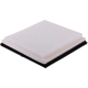 Purchase Top-Quality PREMIUM GUARD - PA6145 - Air Filter pa6