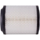 Purchase Top-Quality Air Filter by PREMIUM GUARD - PA6168 pa4