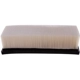 Purchase Top-Quality Air Filter by PREMIUM GUARD - PA6319 pa1