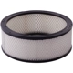 Purchase Top-Quality Air Filter by PREMIUM GUARD - PA67 pa6