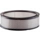 Purchase Top-Quality Air Filter by PREMIUM GUARD - PA91 pa8