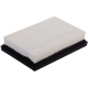 Purchase Top-Quality PREMIUM GUARD - PA9909 - Air Filter pa1
