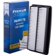 Purchase Top-Quality PREMIUM GUARD - PA99178 - Air Filter pa8