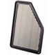 Purchase Top-Quality Air Filter by PREMIUM GUARD - PA99180 pa1