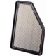 Purchase Top-Quality Air Filter by PREMIUM GUARD - PA99180 pa5