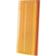 Purchase Top-Quality Air Filter by PREMIUM GUARD - PA9920 pa4