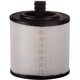 Purchase Top-Quality REMIUM GUARD - PA99207 - Air Filter pa2
