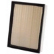 Purchase Top-Quality Air Filter by PREMIUM GUARD - PA99262 pa10
