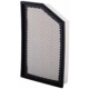 Purchase Top-Quality PREMIUM GUARD - PA9969 - Air Filter pa14