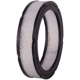 Purchase Top-Quality PRONTO FILTERS - PA103 - Air Filter pa6