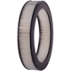 Purchase Top-Quality PRONTO FILTERS - PA16 - Air Filter pa3