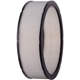 Purchase Top-Quality PRONTO FILTERS - PA3181 - Air Filter pa2