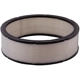 Purchase Top-Quality PRONTO FILTERS - PA3181 - Air Filter pa4