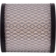 Purchase Top-Quality PRONTO FILTERS - PA3196 - Air Filter pa1