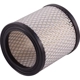 Purchase Top-Quality PRONTO FILTERS - PA3196 - Air Filter pa2