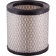 Purchase Top-Quality PRONTO FILTERS - PA3196 - Air Filter pa3
