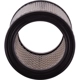 Purchase Top-Quality PRONTO FILTERS - PA3196 - Air Filter pa4
