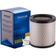 Purchase Top-Quality PRONTO FILTERS - PA3196 - Air Filter pa7