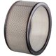 Purchase Top-Quality PRONTO FILTERS - PA3384 - Air Filter pa4