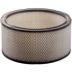 Purchase Top-Quality PRONTO FILTERS - PA3384 - Air Filter pa5