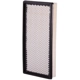 Purchase Top-Quality PRONTO FILTERS - PA3465 - Air Filter pa5