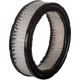 Purchase Top-Quality PRONTO FILTERS - PA4 - Air Filter pa6