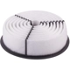 Purchase Top-Quality PRONTO FILTERS - PA4361 - Air Filter pa4