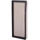 Purchase Top-Quality PRONTO FILTERS - PA4372 - Air Filter pa5