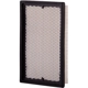 Purchase Top-Quality PRONTO FILTERS - PA4490 - Air Filter pa3