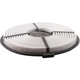 Purchase Top-Quality PRONTO FILTERS - PA4600 - Air Filter pa2