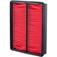 Purchase Top-Quality PRONTO FILTERS - PA4625 - Air Filter pa1