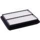 Purchase Top-Quality PRONTO FILTERS - PA4643 - Air Filter pa4