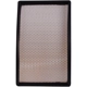 Purchase Top-Quality PRONTO FILTERS - PA4655 - Air Filter pa1