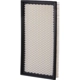 Purchase Top-Quality PRONTO FILTERS - PA4819 - Air Filter pa10