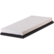 Purchase Top-Quality PRONTO FILTERS - PA4819 - Air Filter pa3