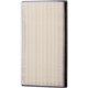 Purchase Top-Quality PRONTO FILTERS - PA4819 - Air Filter pa9