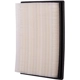 Purchase Top-Quality PRONTO FILTERS - PA4853 - Air Filter pa2